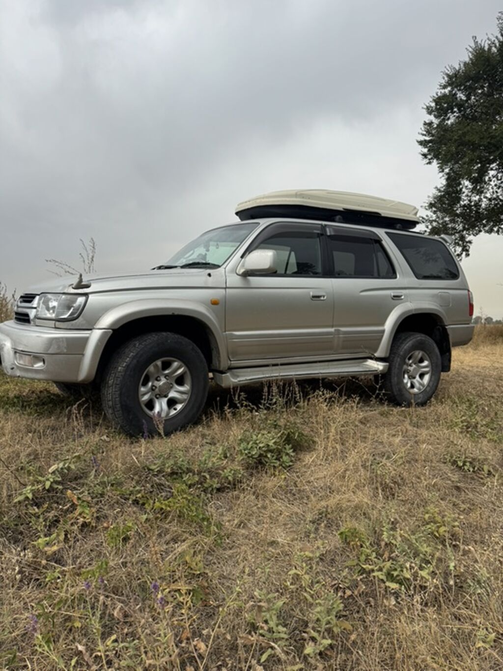 Toyota Hilux Surf: 2002 г., 2.7 л, Автомат, Бензин, Внедорожник: фото 1