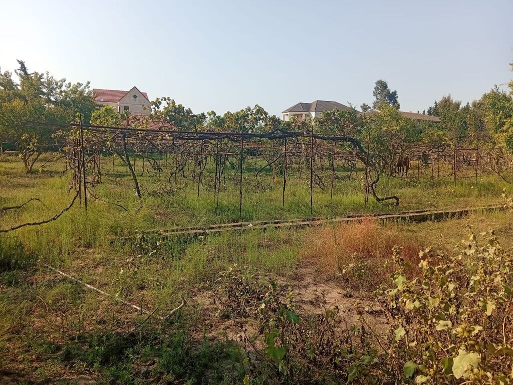 12 sot, Tikinti, Mülkiyyətçi, Kupça (Çıxarış)