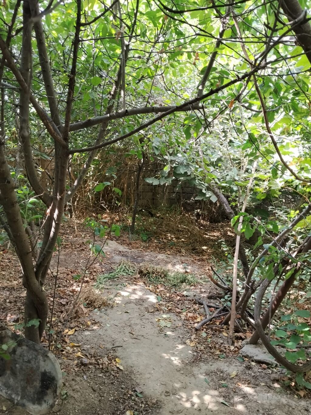 Ramana qəs. 3 otaqlı, 80 kv. m, Kredit yoxdur, Orta təmir