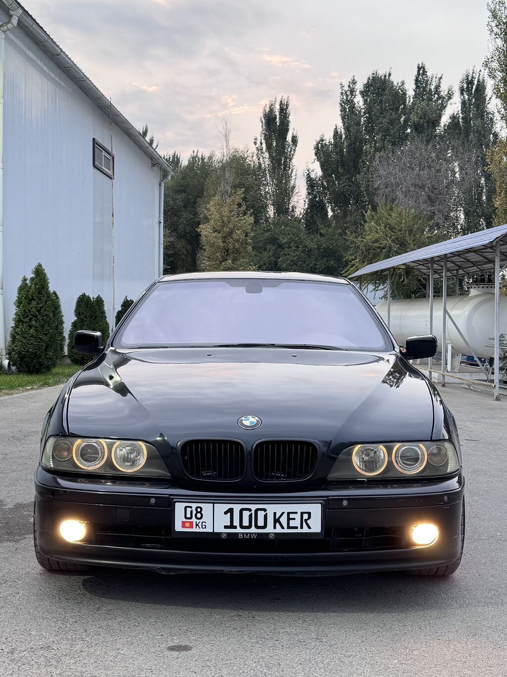 BMW 5 series: 2002 г.: фото 1