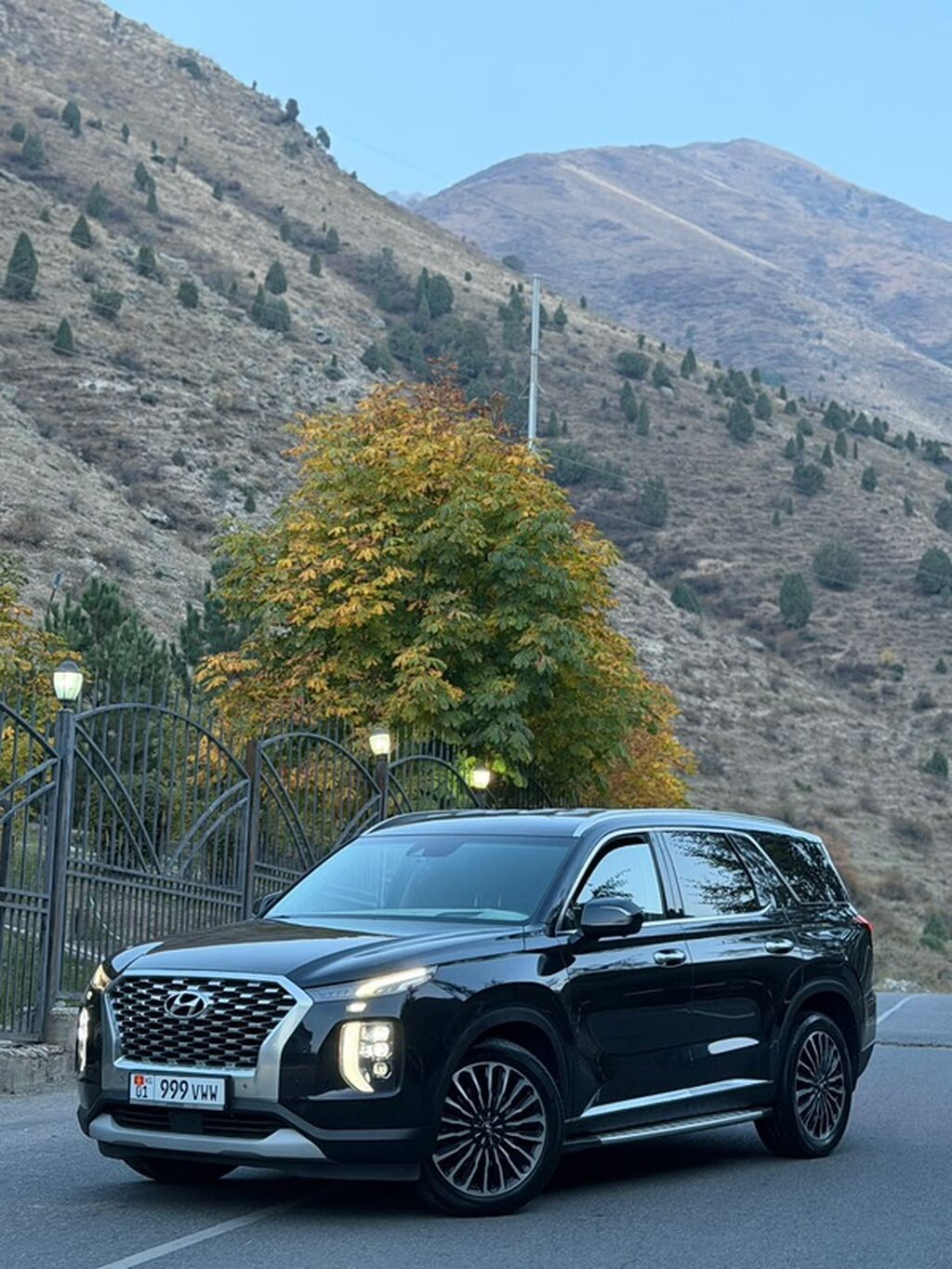 Hyundai Palisade: 2019 г., 2.2 л, Автомат, Дизель, Кроссовер: фото 2