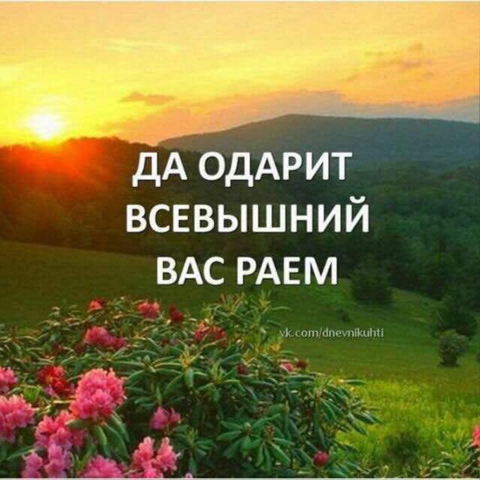 Картинки с надписями всем баракатного дня, коралловую свадьбу своими
