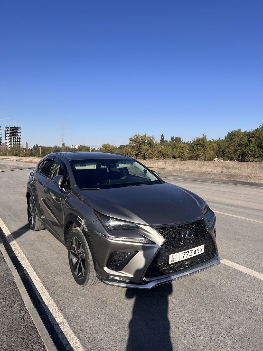 Lexus NX: 2018 г., 2 л, Автомат, Бензин, Кроссовер: фото 1