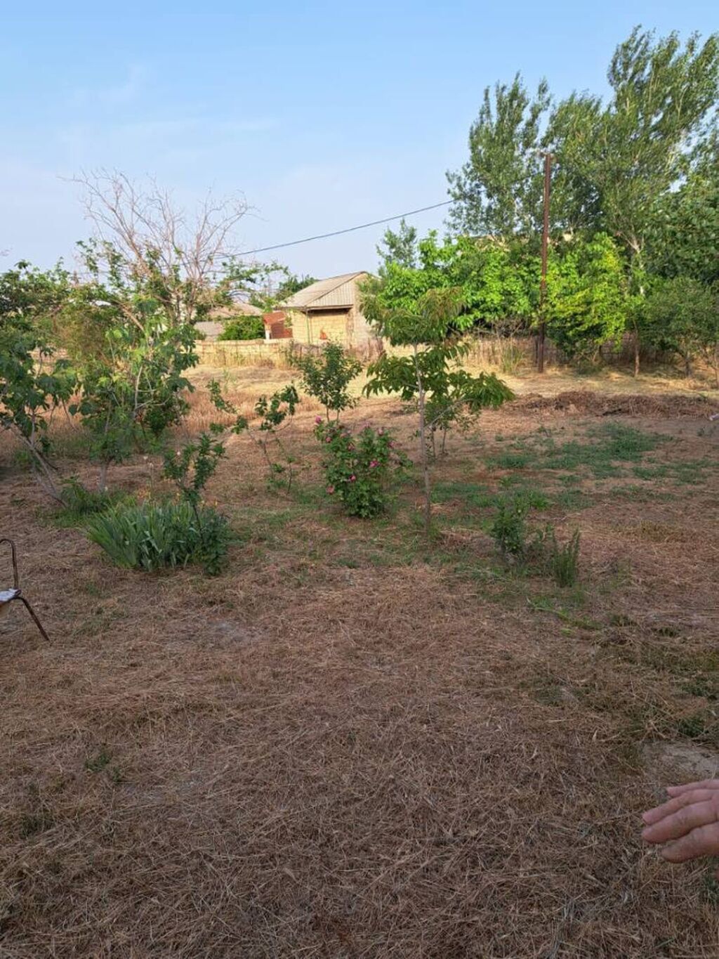 3 sot, Mülkiyyətçi, Kupça (Çıxarış)
