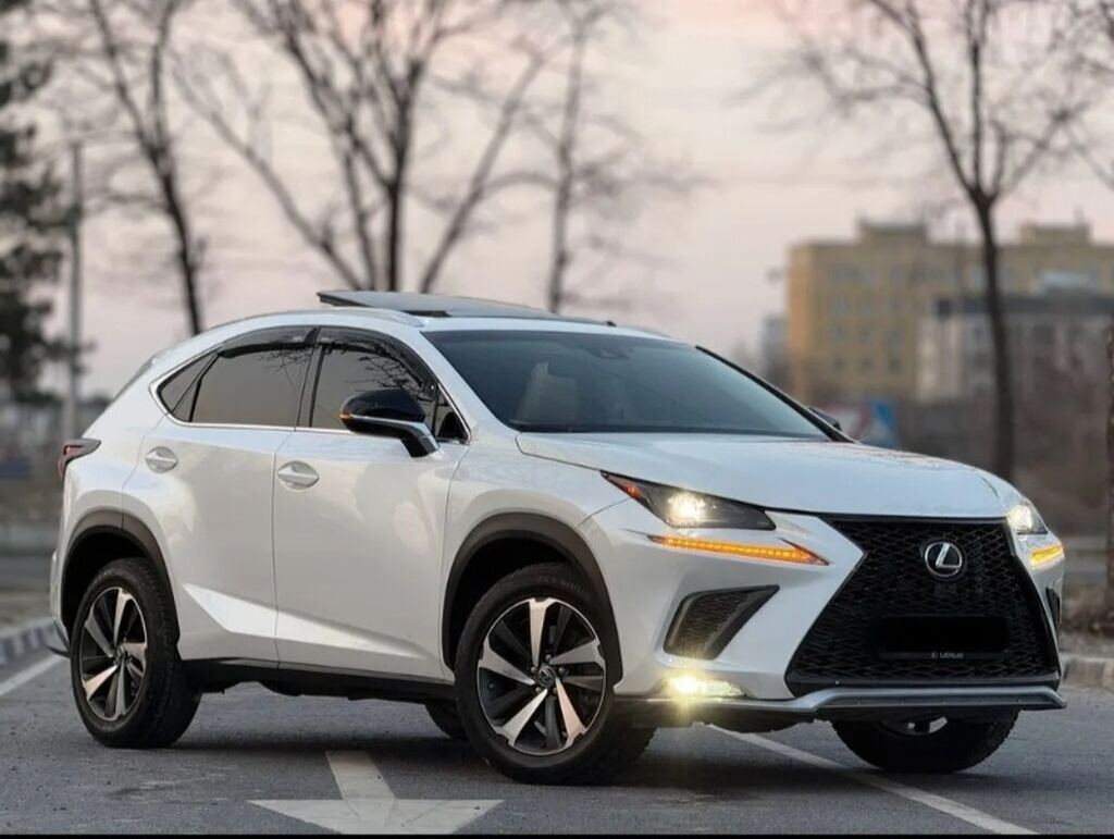 Lexus NX 300, 2018 г., белый, автомат: фото 2