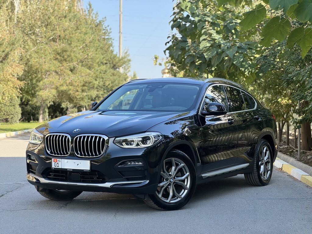 BMW X4: 2020 г., 2 л, Автомат, Бензин, Кроссовер: фото 1
