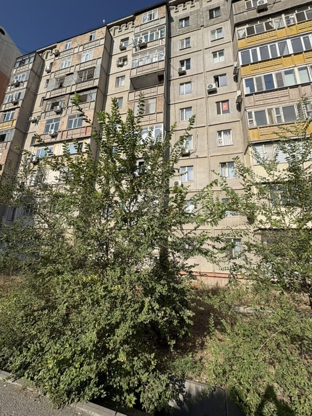 35 м², С мебелью частично: фото 5