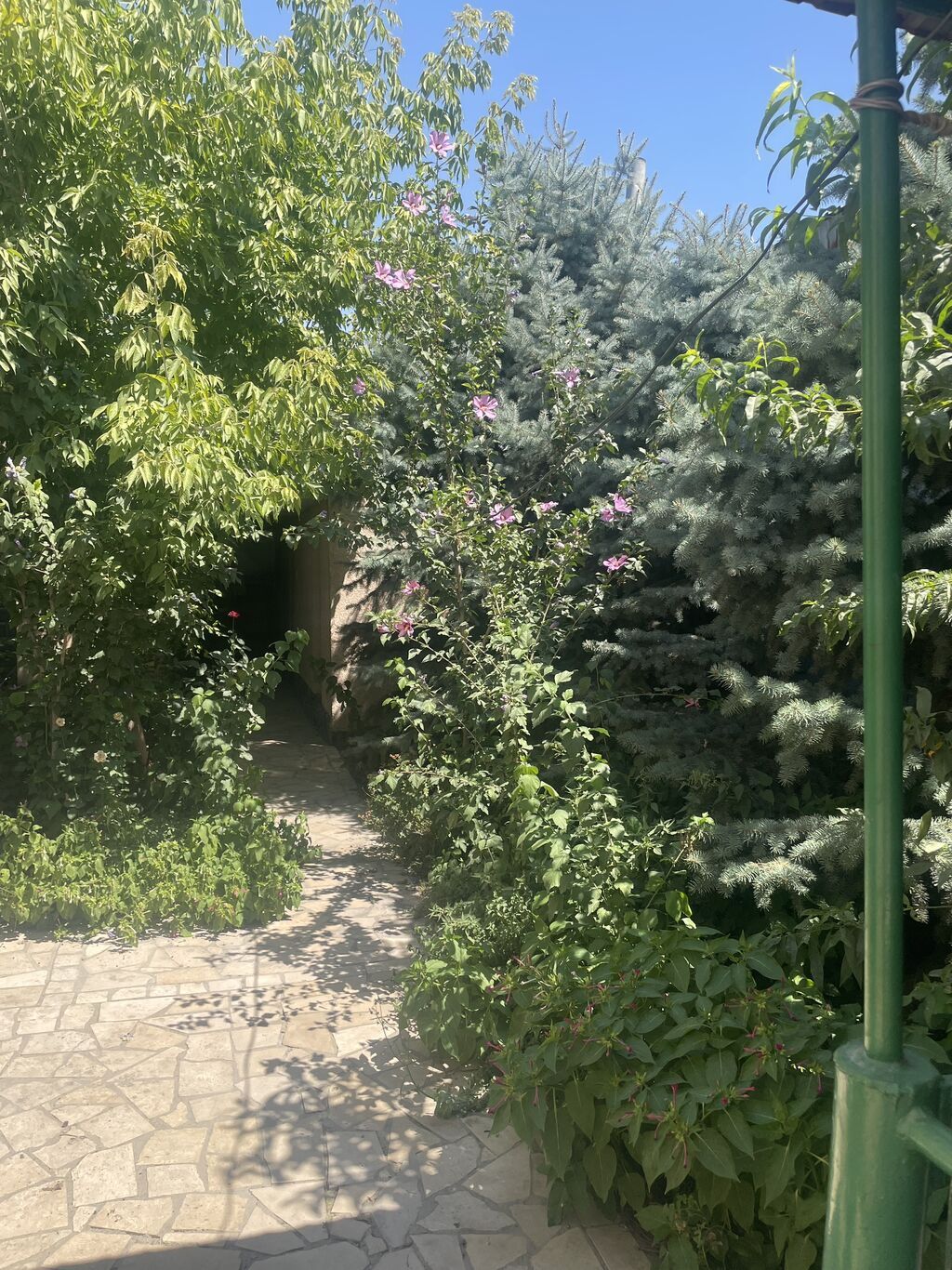 Срочно продается компактный дом в Ак-орго,5 соток . Имеется баня,очок: фото 6