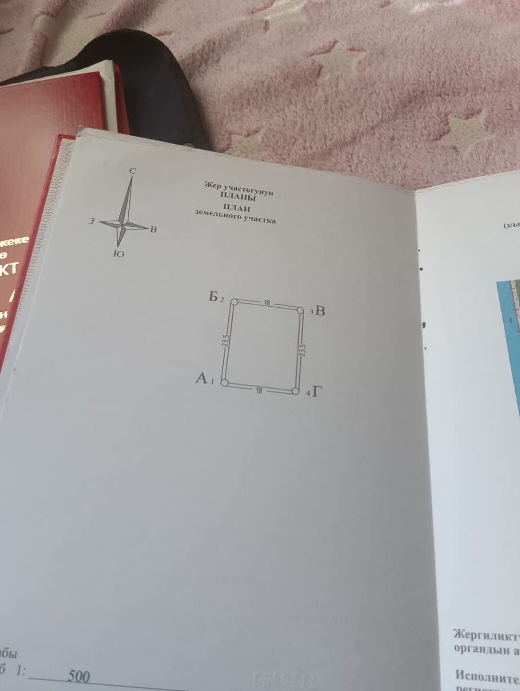 4 соток, Красная книга: фото 1