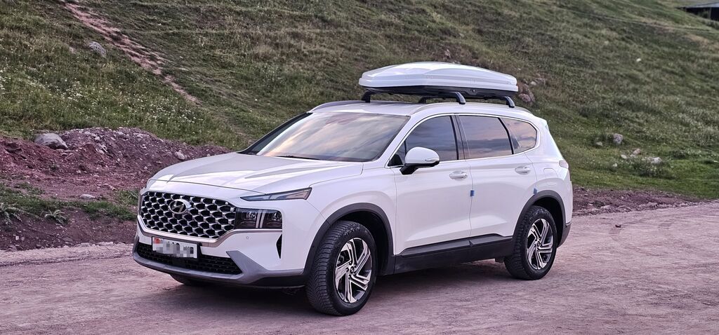 Hyundai Santa Fe: 2020 г., 2.2 л, Автомат, Дизель, Кроссовер: фото 3