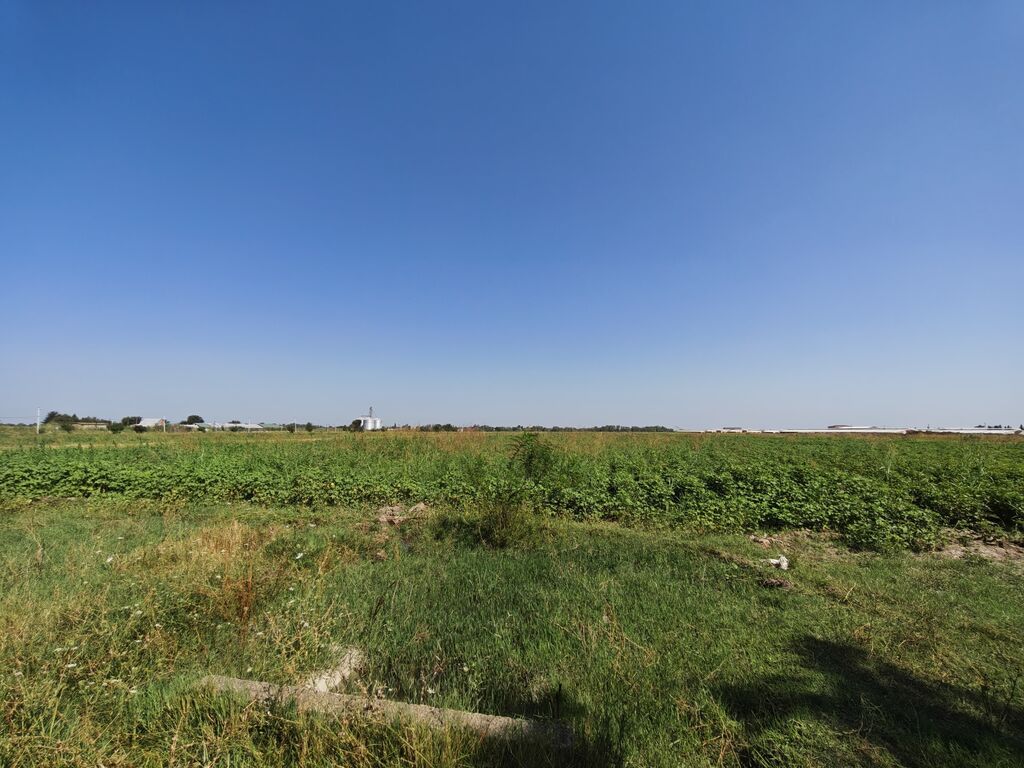 300 sot, Kənd təsərrüfatı, Mülkiyyətçi, Kupça (Çıxarış)