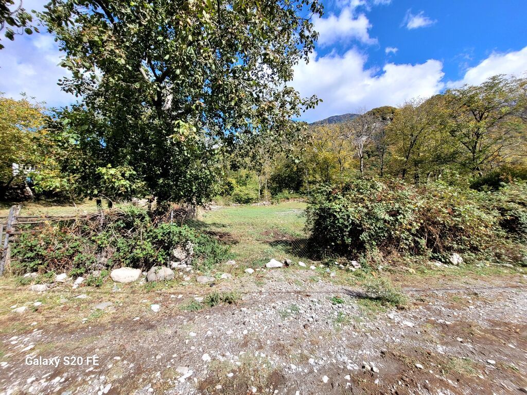 6 sot, Tikinti, Mülkiyyətçi, Kupça (Çıxarış)