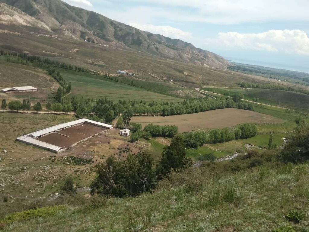 Продаётся Кошара в Иссык-кульской области, село Ананьево. Имеется: фото 3