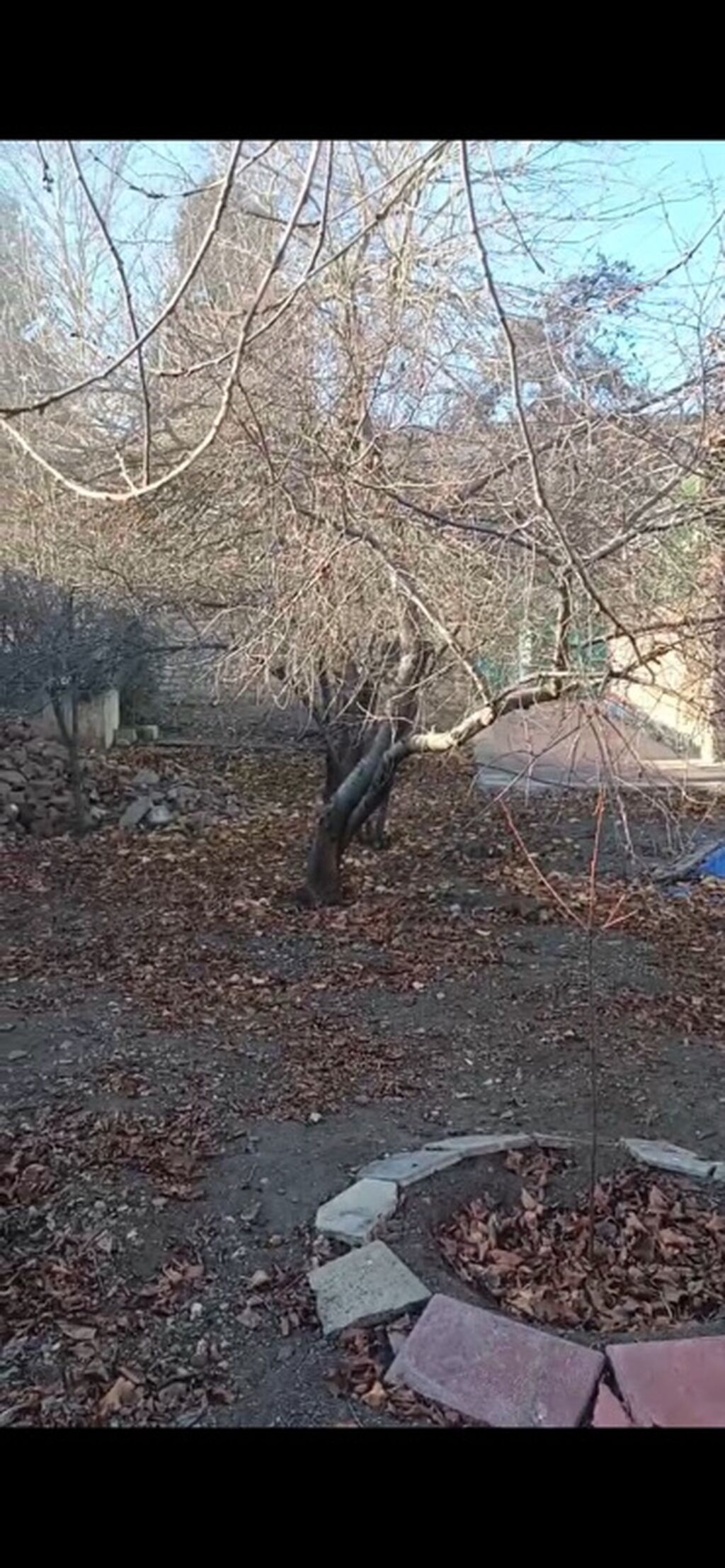 Kənd təsərrüfatı, Makler, Kupça (Çıxarış)