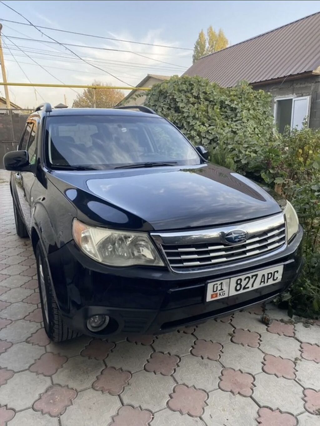 Subaru Forester: 2009 г., 2.5 л, Автомат, Бензин, Кроссовер: фото 4