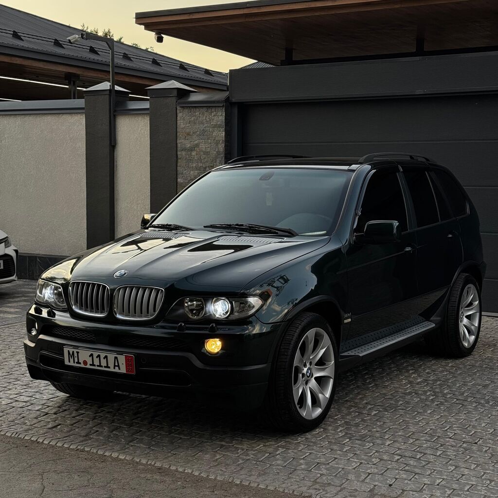 BMW X5: 2005 г., 3 л, Автомат, Дизель, Кроссовер: фото 1