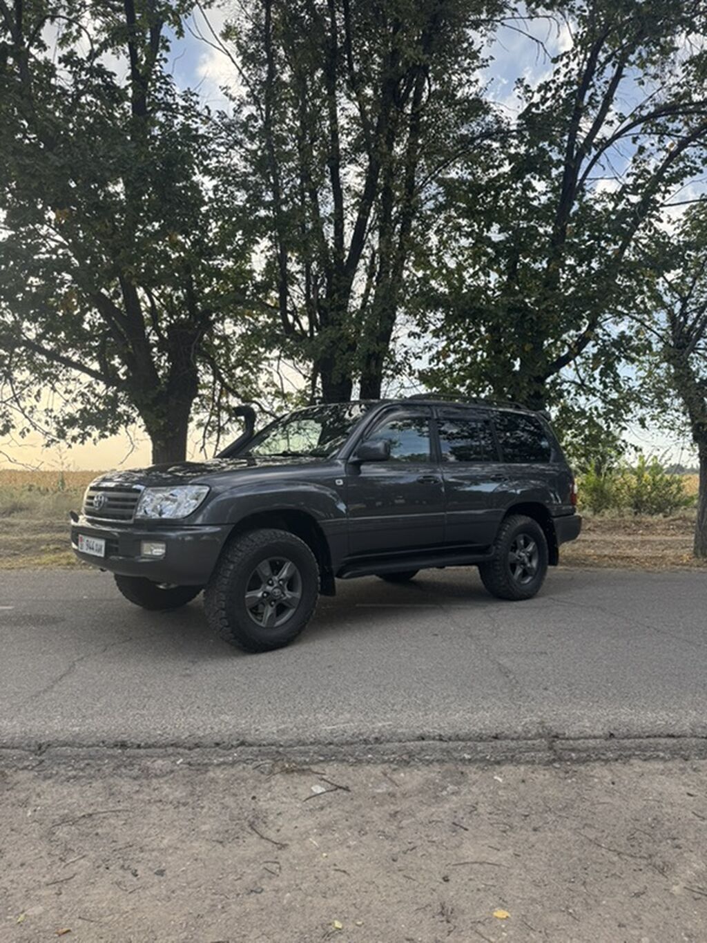 Toyota Land Cruiser: 2006 г., 4.2 л, Автомат, Дизель, Внедорожник: фото 4