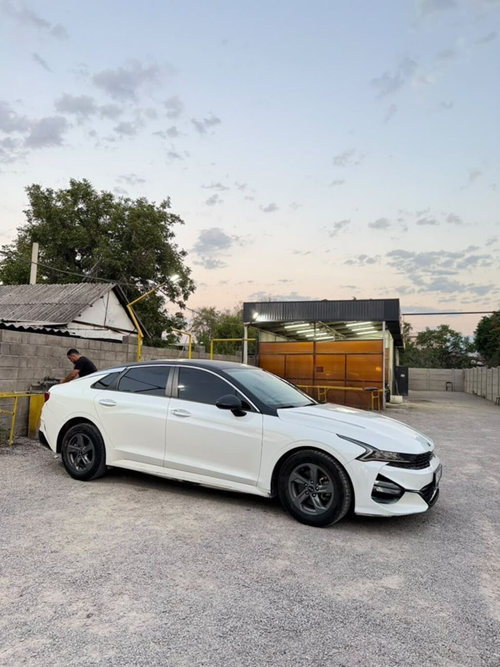 Kia K5: 2020 г., Лифтбек: фото 1