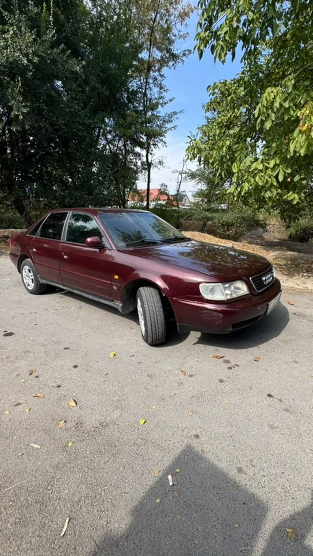 Audi A6: 1995 г., 1.9 л, Механика, Дизель, Седан: фото 4