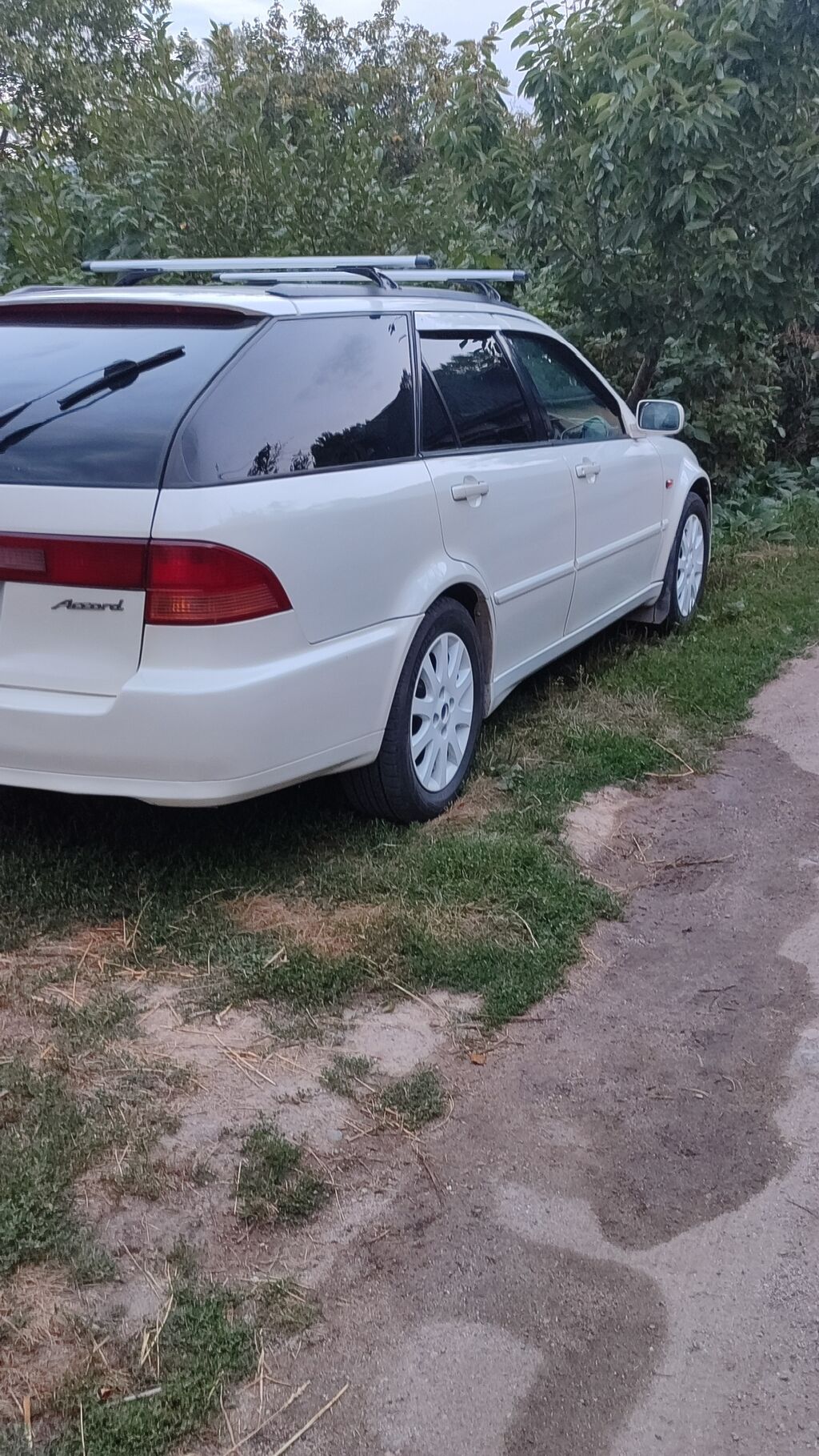 Honda Accord: 2000 г., 2.3 л, Автомат, Бензин, Универсал: фото 7