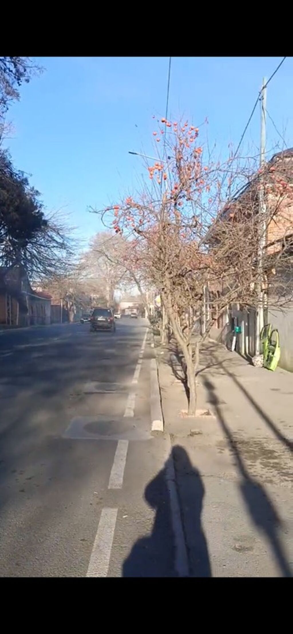 Kənd təsərrüfatı, Makler, Kupça (Çıxarış)