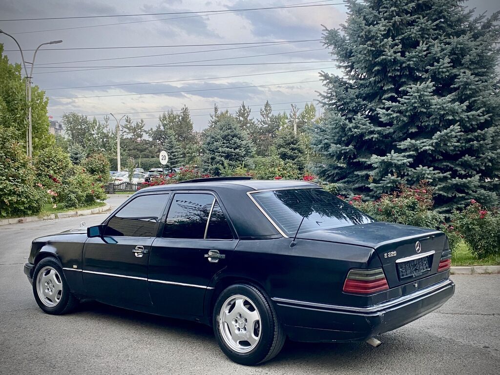 Mercedes-Benz E-Class: 1995 г., 2.2 л, Механика, Бензин, Седан: фото 2