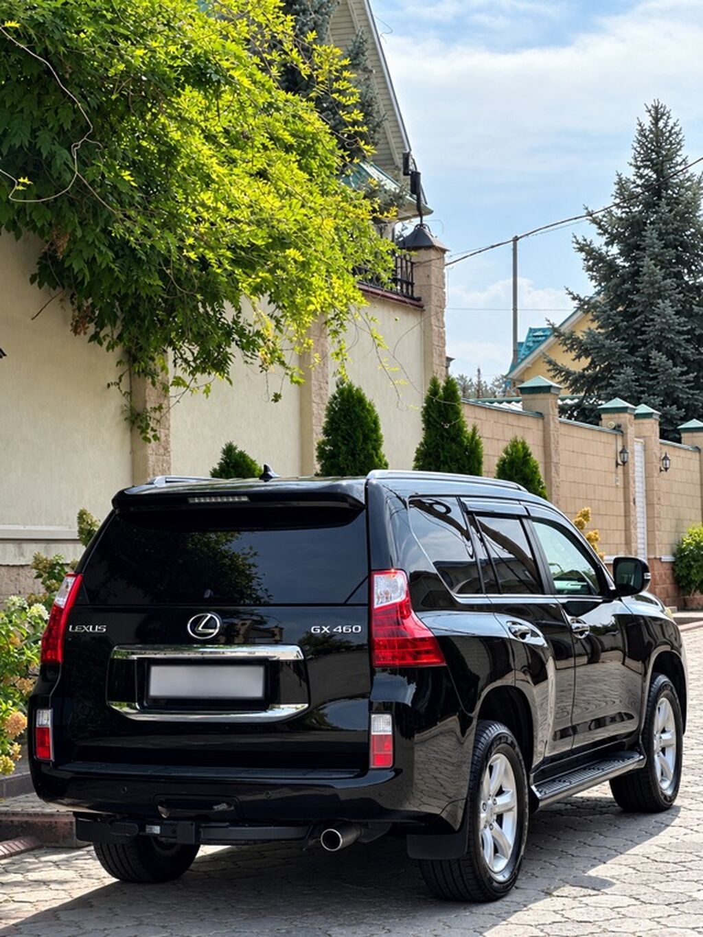 Lexus GX: 2010 г., 4.6 л, Автомат, Бензин, Внедорожник: фото 5