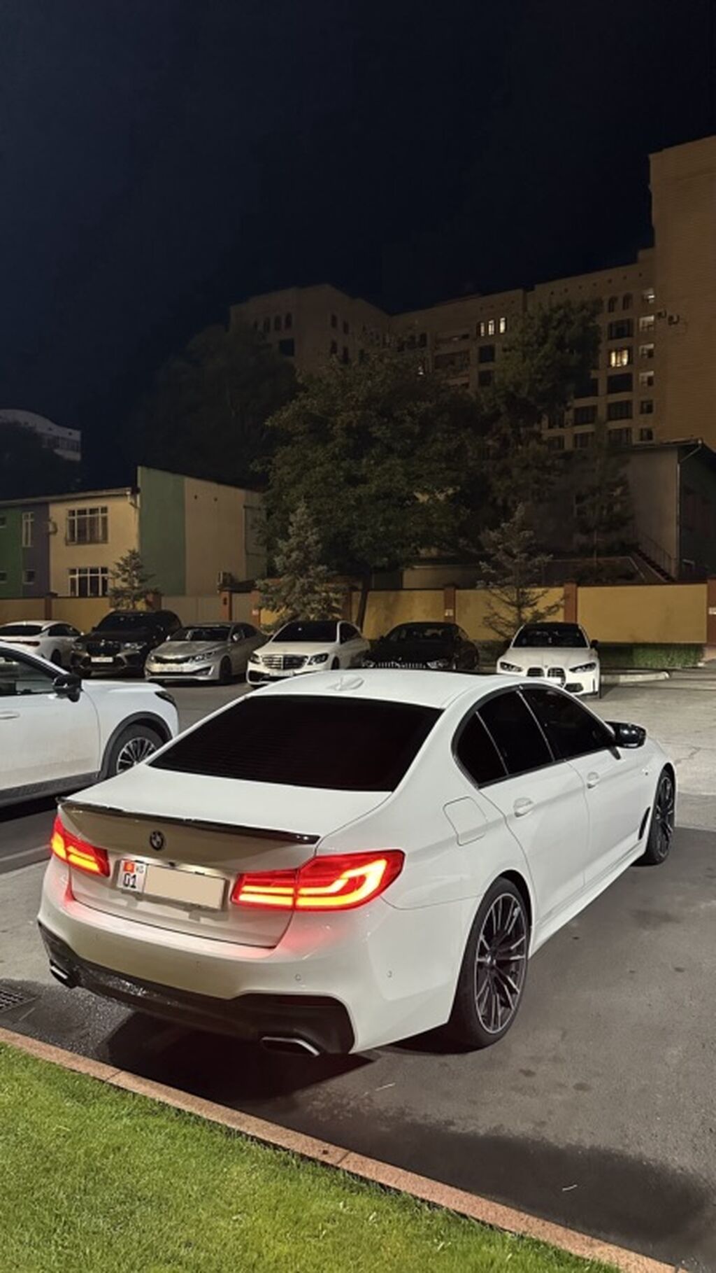 BMW 5 series: 2019 г., 2 л, Автомат, Бензин, Седан: фото 8