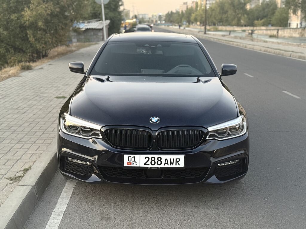 BMW 5 series: 2018 г., 2 л, Автомат, Бензин, Седан: фото 3