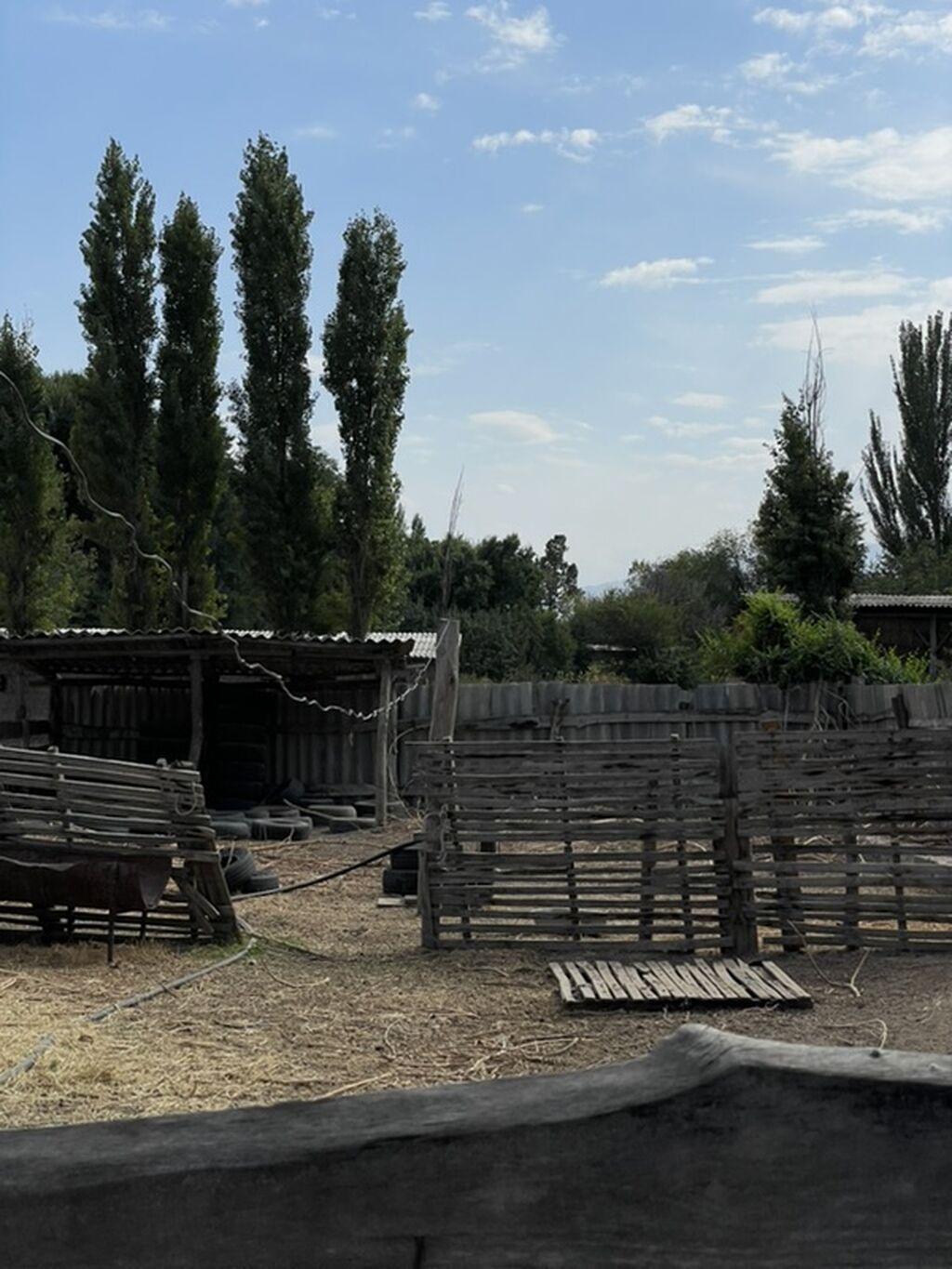 Продаётся дом в с. Новониколаевка Жайылский район, с: фото 7