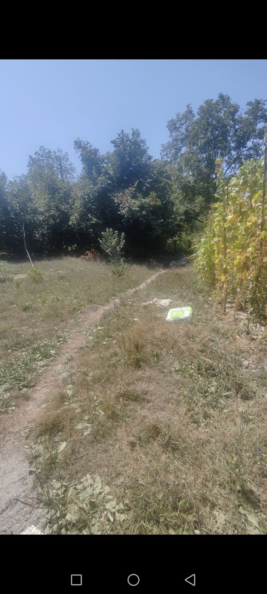 11 sot, Tikinti, Barter mümkündür, Kupça (Çıxarış)