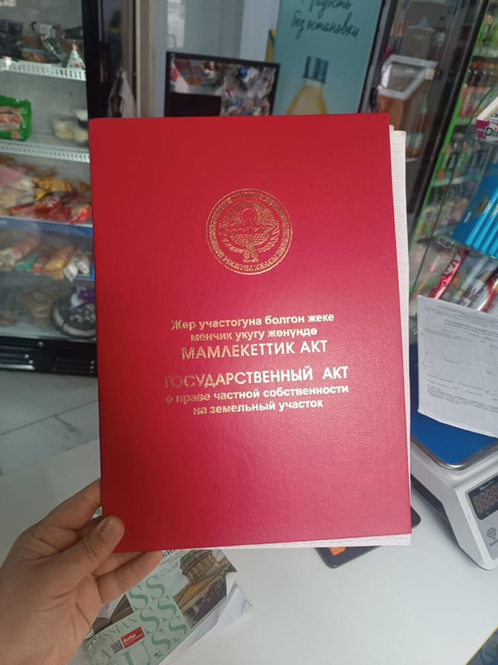 4 соток, Красная книга: фото 3