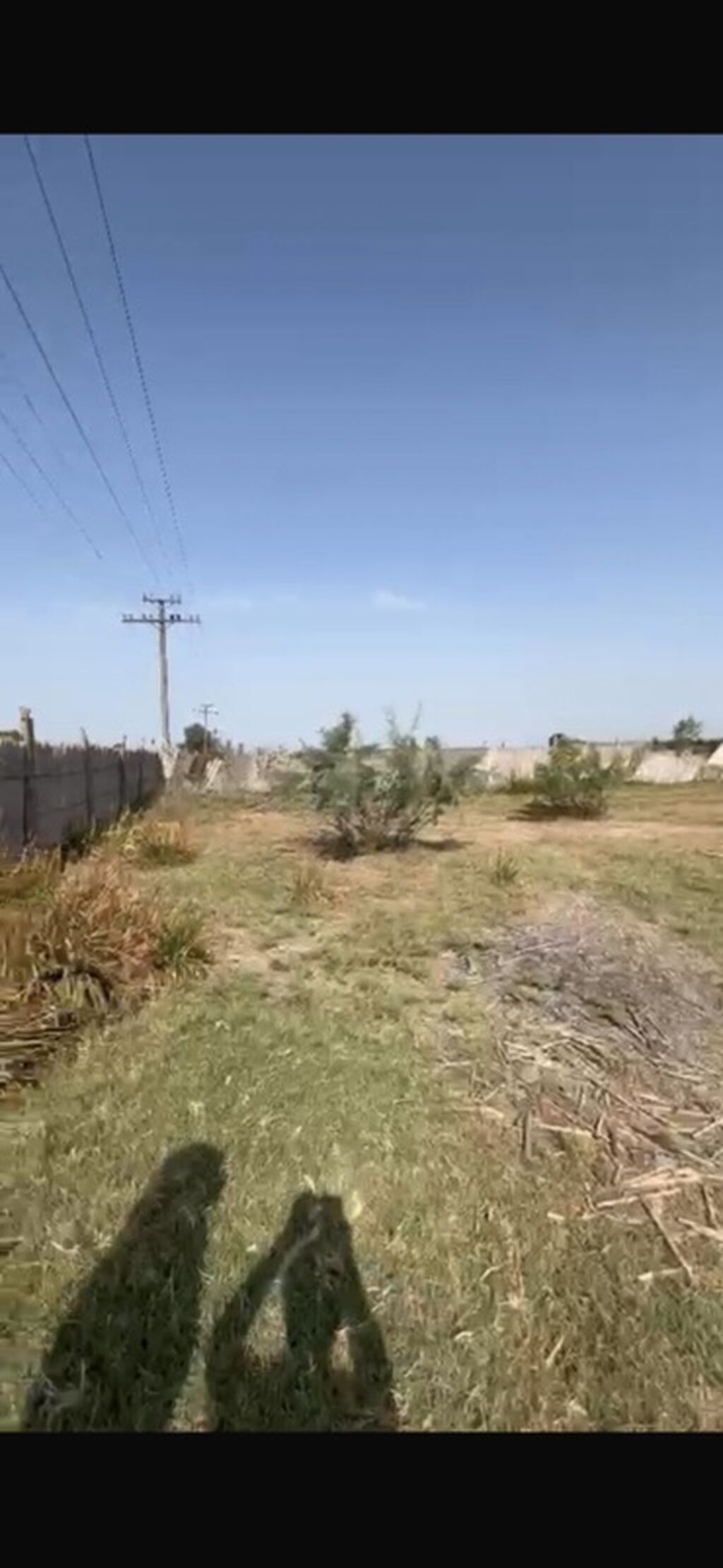 Kənd təsərrüfatı
