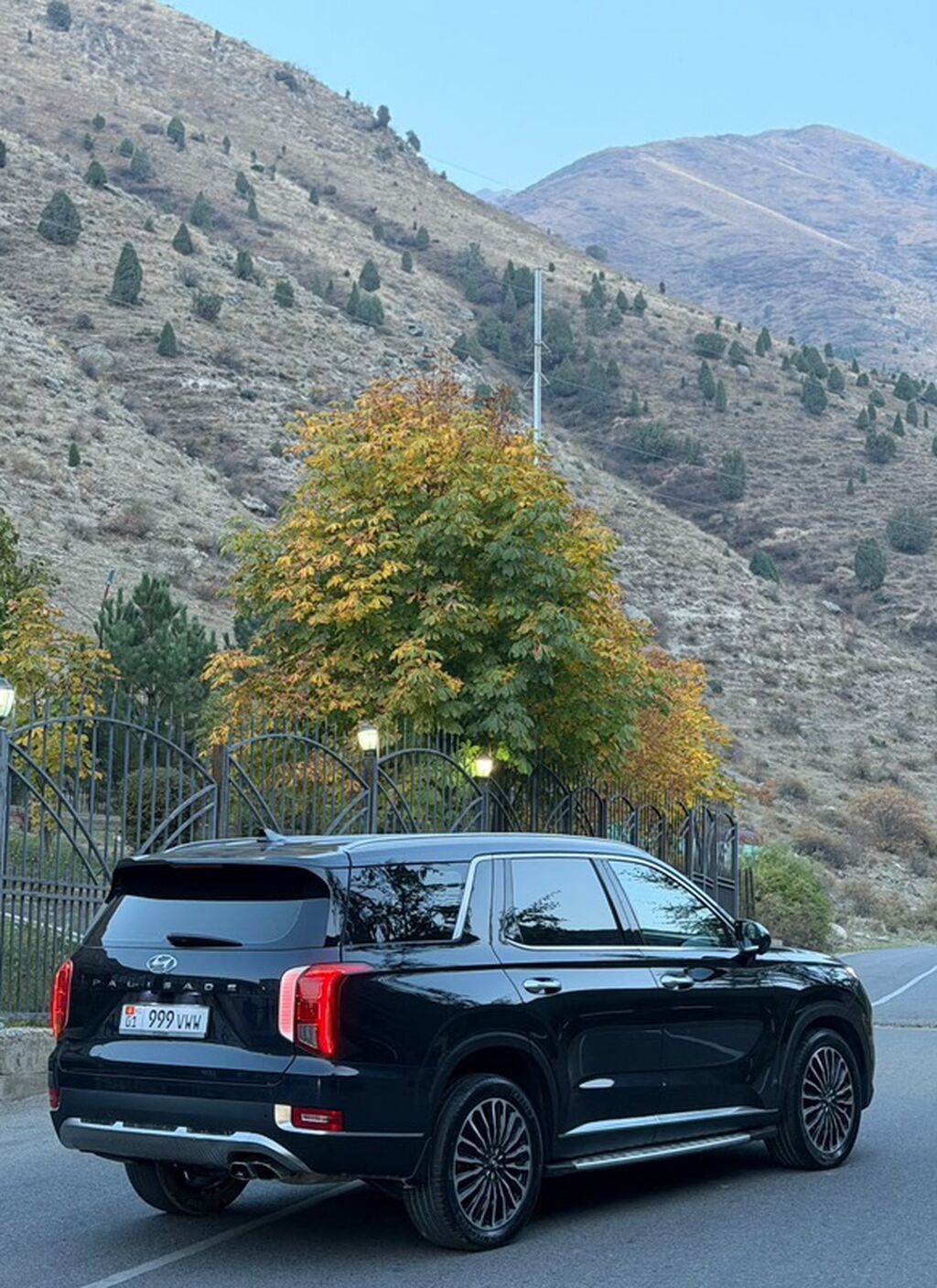 Hyundai Palisade: 2019 г., 2.2 л, Автомат, Дизель, Кроссовер: фото 4