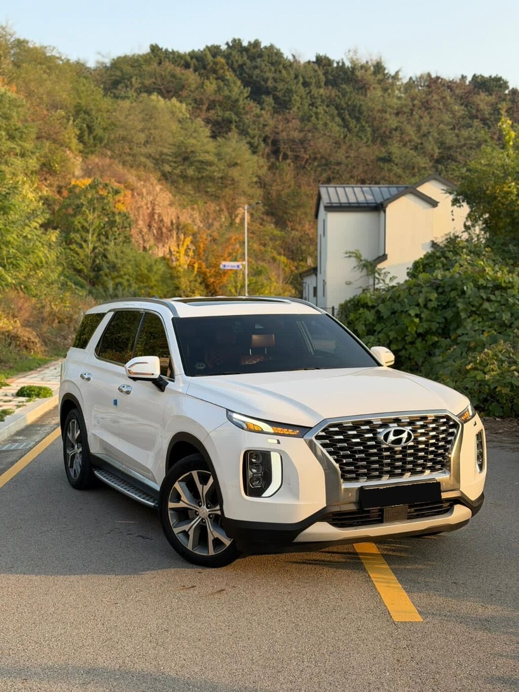 Hyundai Palisade: 2019 г., 2.2 л, Автомат, Дизель, Кроссовер: фото 1