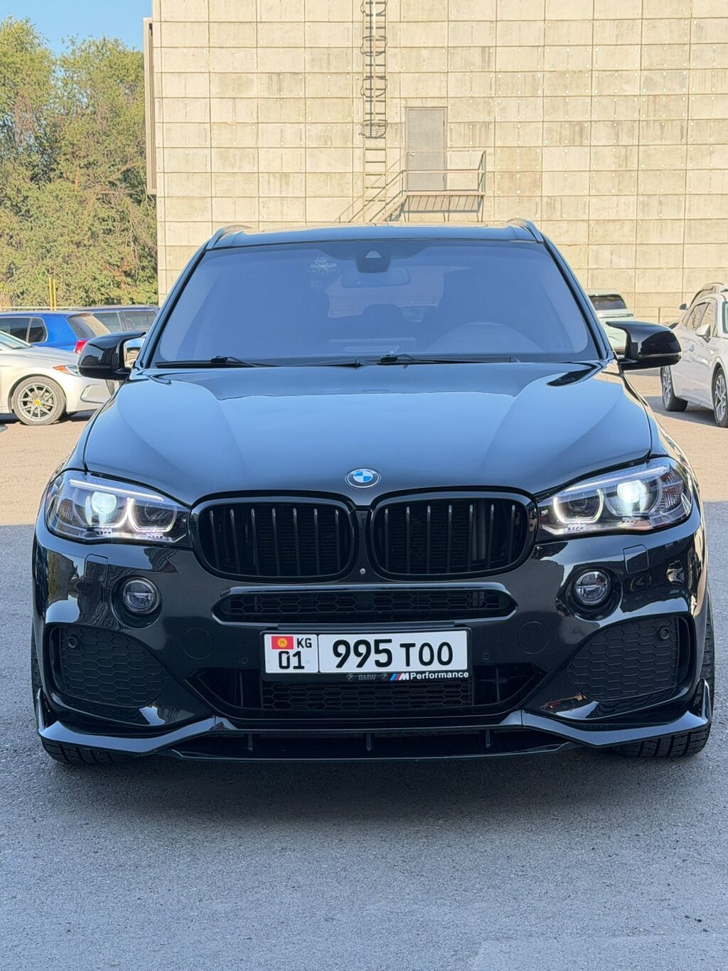 BMW X5: 2016 г., 3 л, Автомат, Дизель, Кроссовер: фото 4