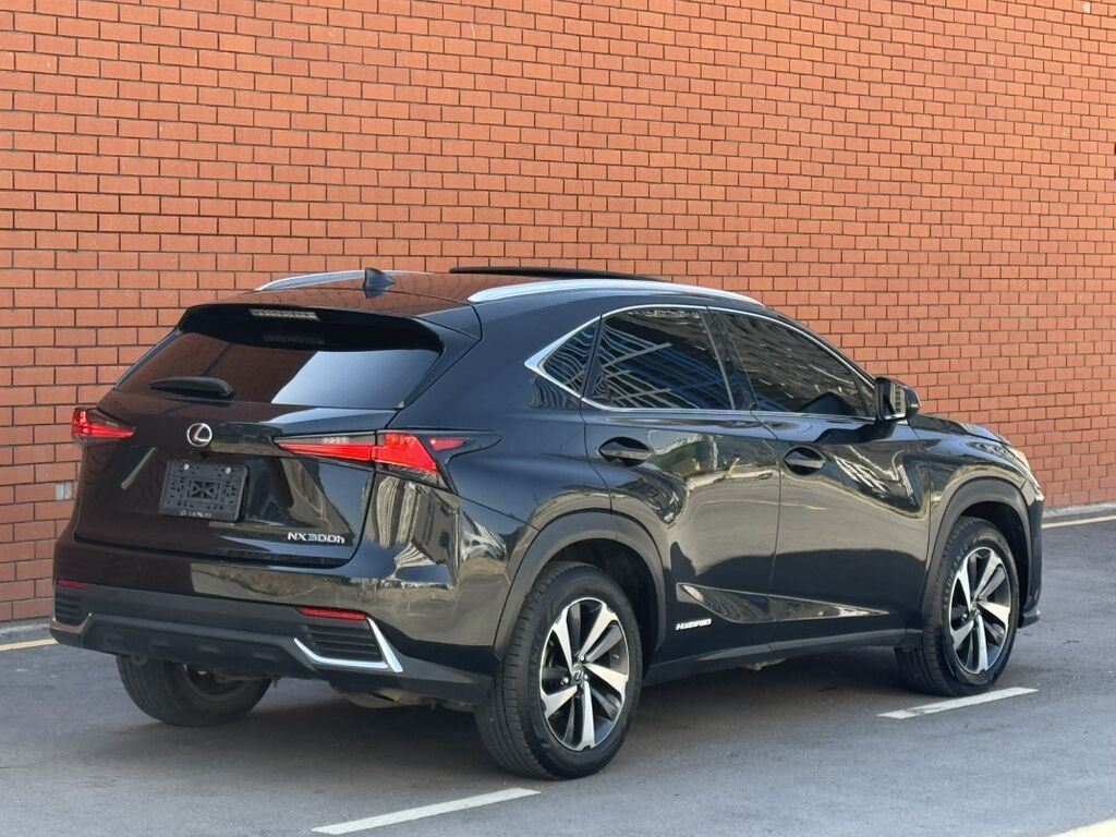 Lexus NX: 2019 г., 2.5 л, Вариатор, Гибрид, Кроссовер: фото 5