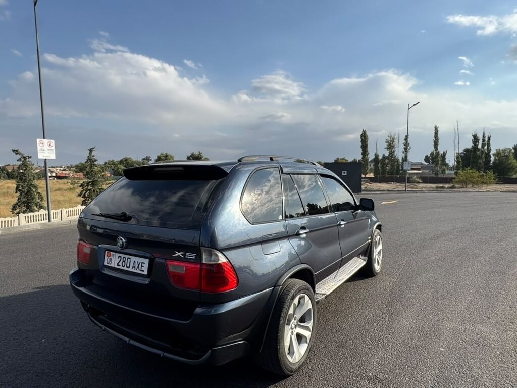 BMW X5: 2004 г., 4.4 л, Автомат, Бензин, Кроссовер: фото 1
