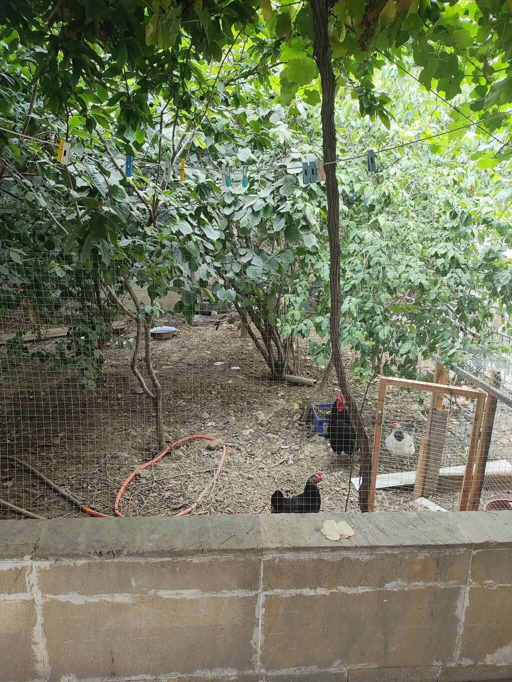 Mehdiabad 7 otaqlı, 204 kv. m, Orta təmir