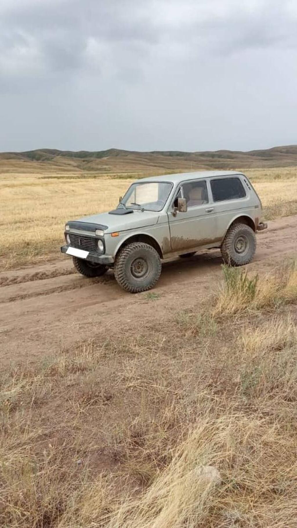 ВАЗ (ЛАДА) 4x4 Нива: 1981 г., Механика, Внедорожник: фото 2