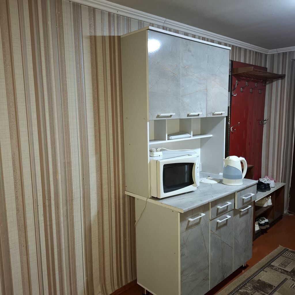 30 м², С мебелью: фото 5
