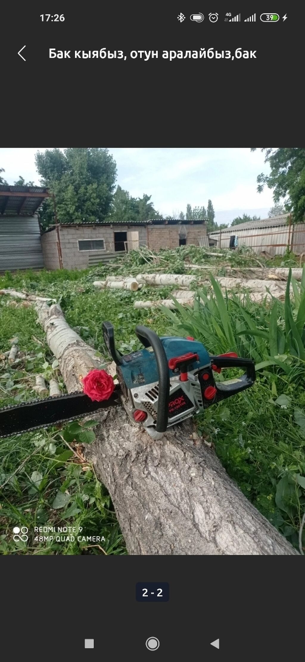 Спилим Дерево заготовим дрова Цена договорная. звонить в любое: фото 2