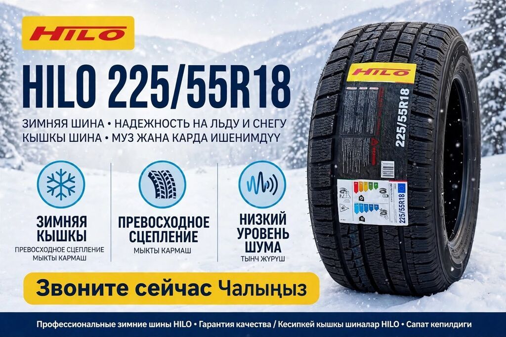Шины 225 / 55 / R 18, Зима, Новый, Легковые, Hilo: фото 1