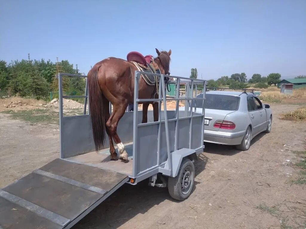 Продаю легковой прицеп. наращенные борта. только звонить: фото 6