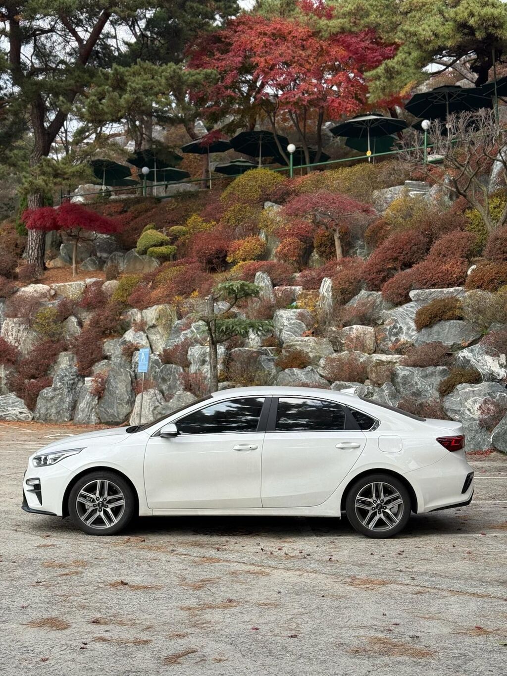 Kia K3: 2019 г., Бензин: фото 3