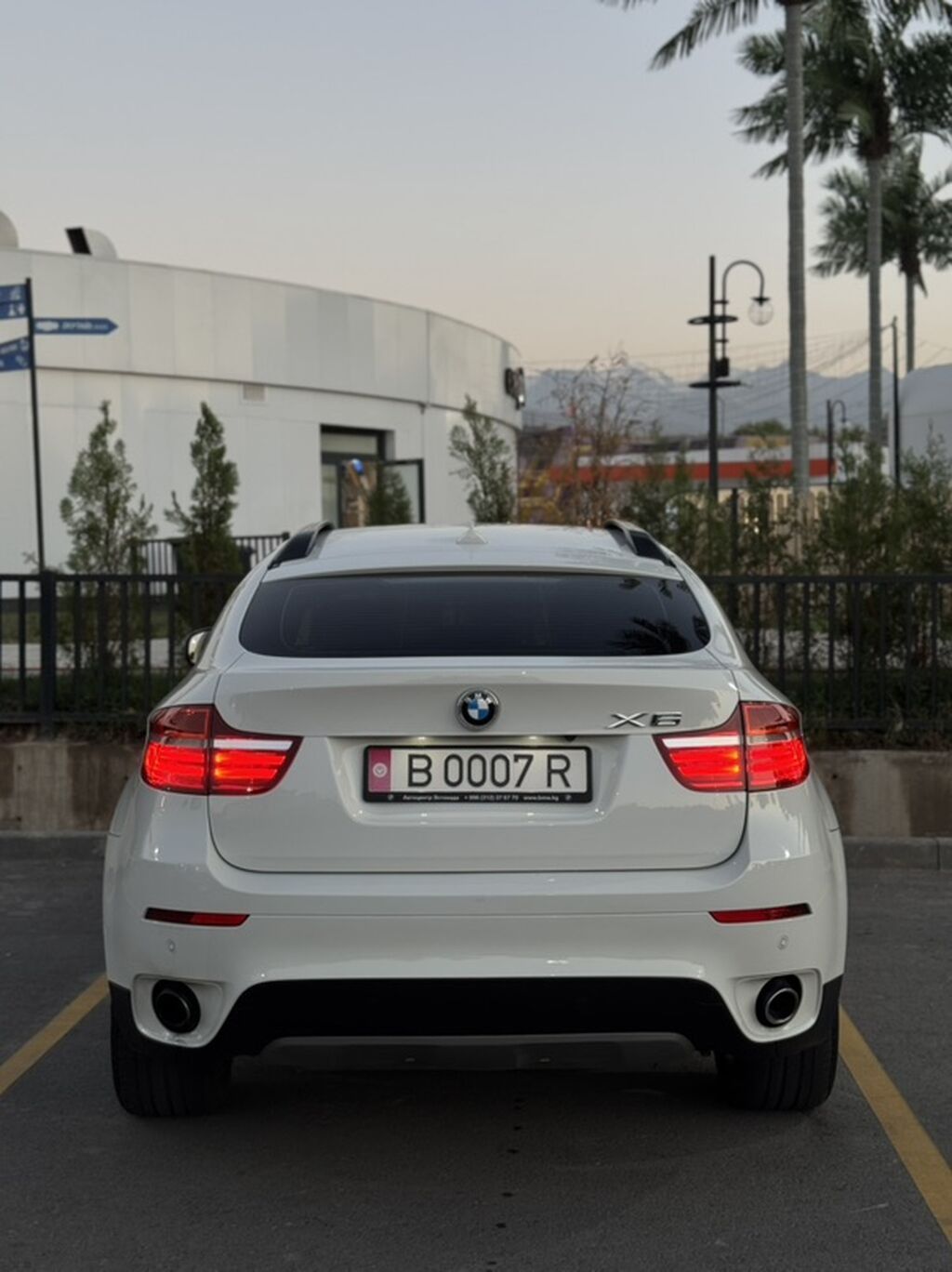 BMW X6: 2013 г., 3 л, Автомат, Бензин, Кроссовер: фото 4