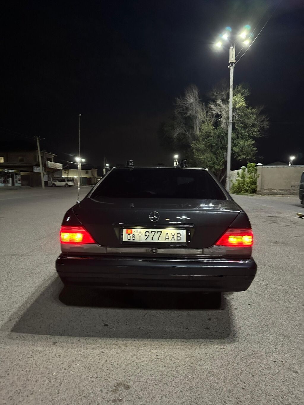 Mercedes-Benz S-Class: 1996 г., 4.2 л, Автомат, Газ, Седан: фото 8