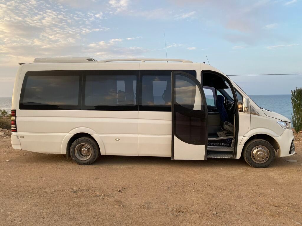 Автобус, Mercedes-Benz, 2009 г., 3 л: фото 6