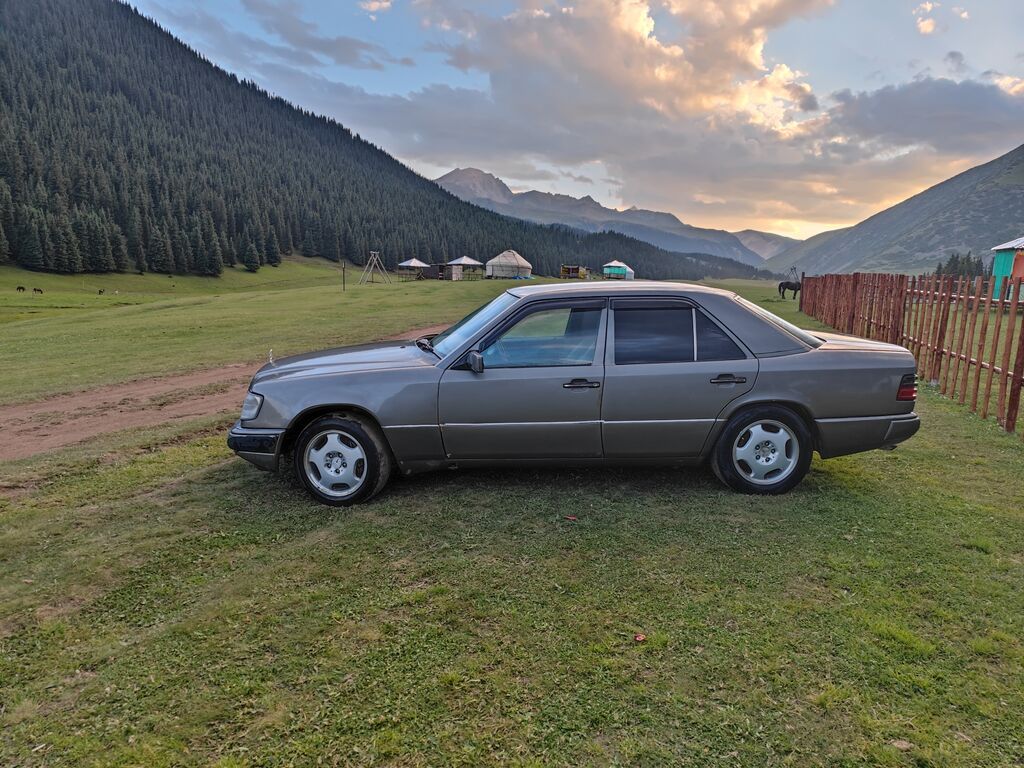 Mercedes-Benz W124: 1993 г., 3.2 л, Механика, Газ, Седан: фото 3