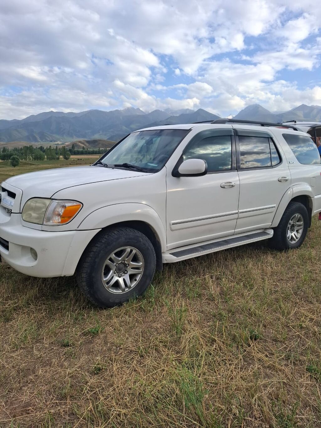 Toyota Sequoia: 2004 г., Автомат, Бензин, Внедорожник: фото 7